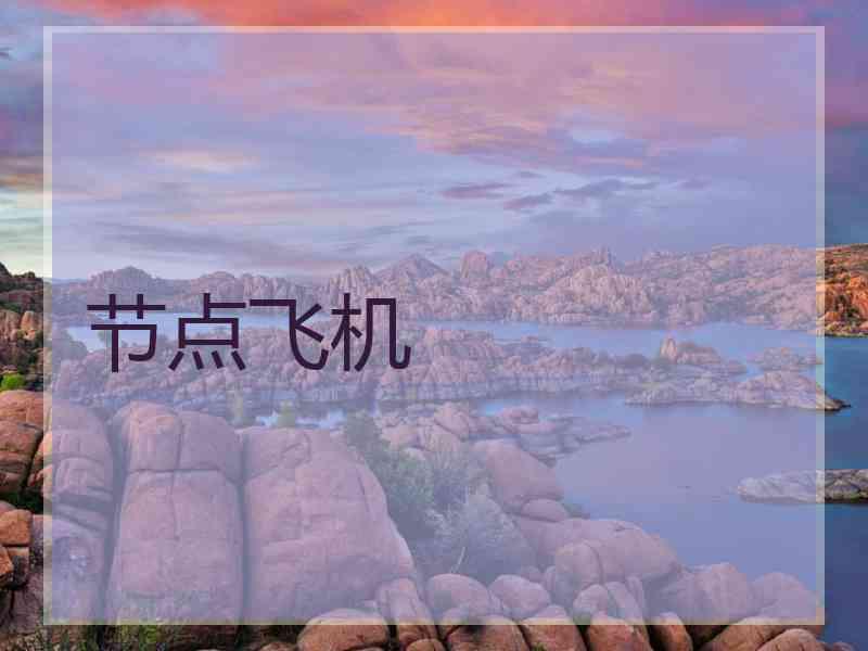 节点飞机