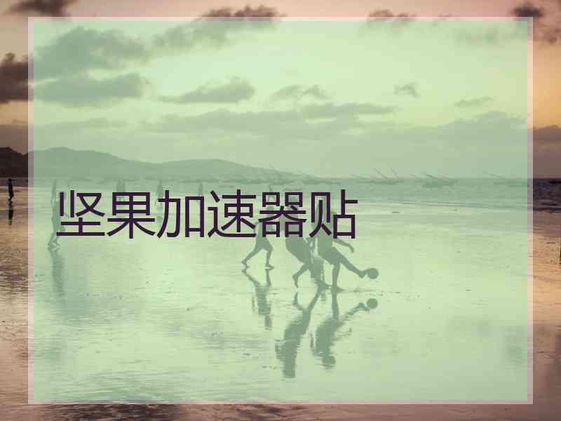 坚果加速器贴