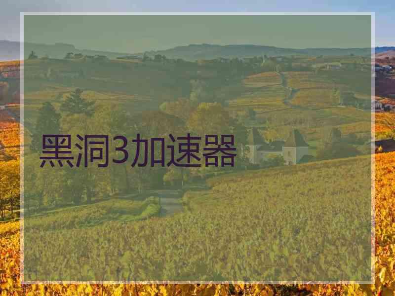 黑洞3加速器