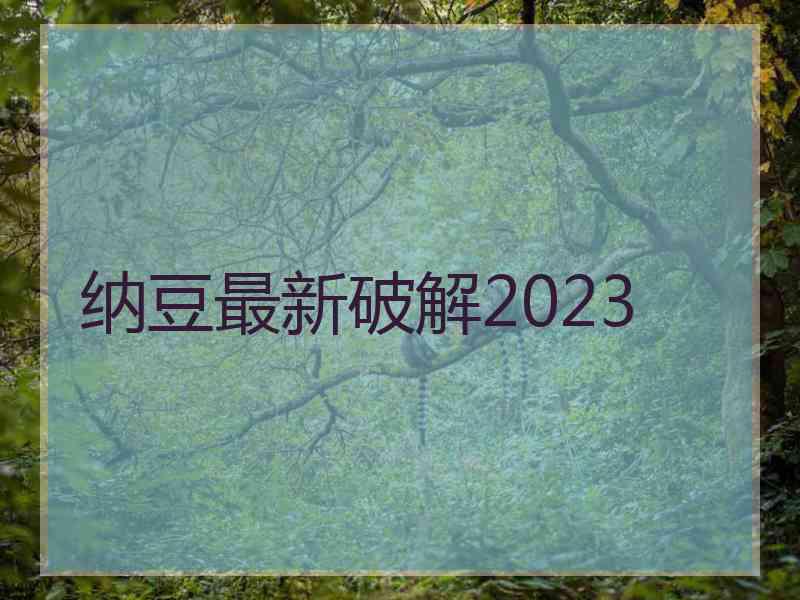 纳豆最新破解2023