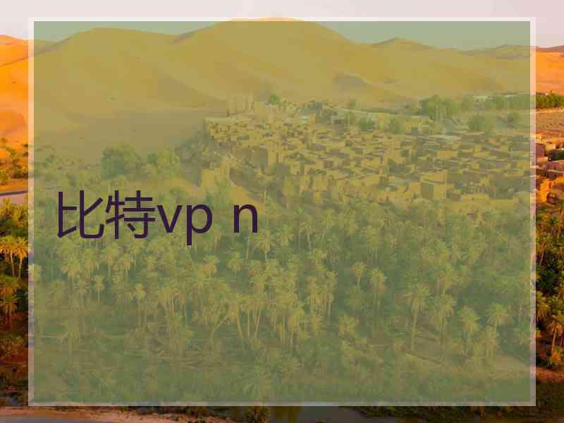比特vp n
