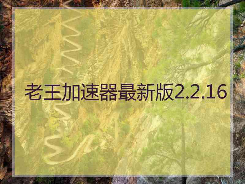 老王加速器最新版2.2.16
