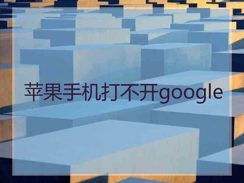 苹果手机打不开google