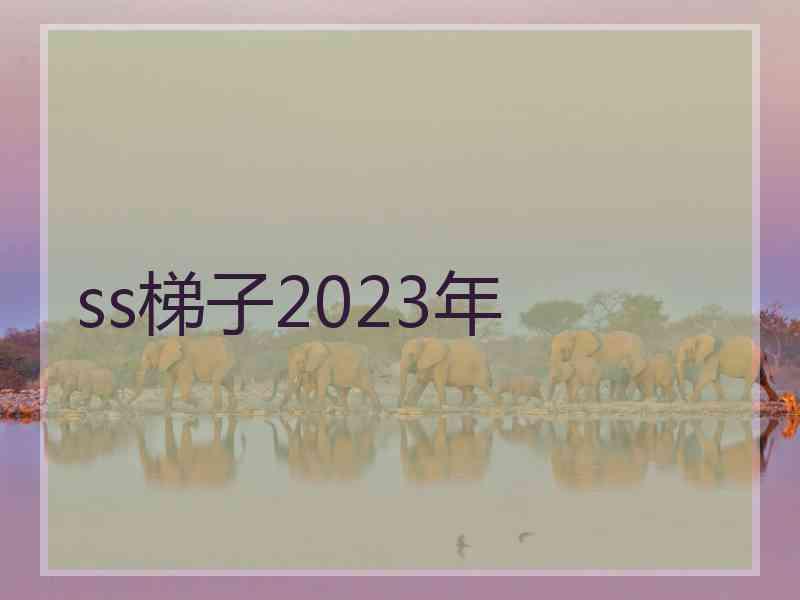 ss梯子2023年