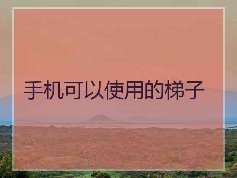 手机可以使用的梯子