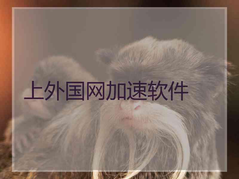 上外国网加速软件