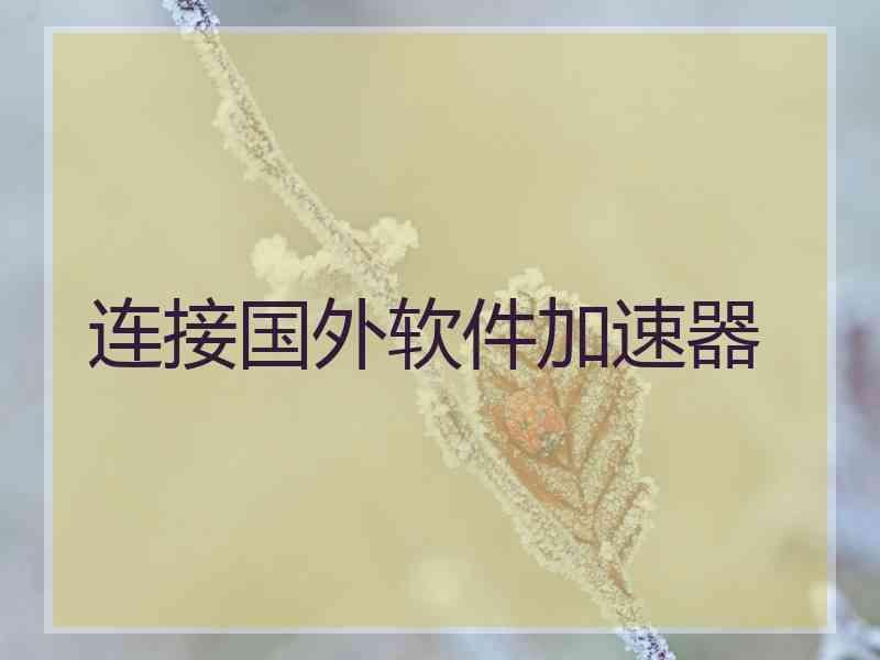 连接国外软件加速器