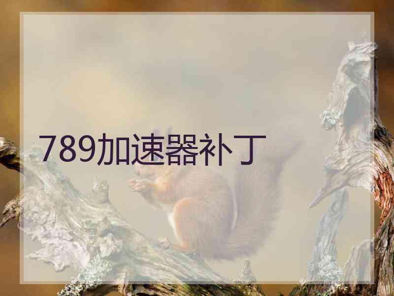 789加速器补丁
