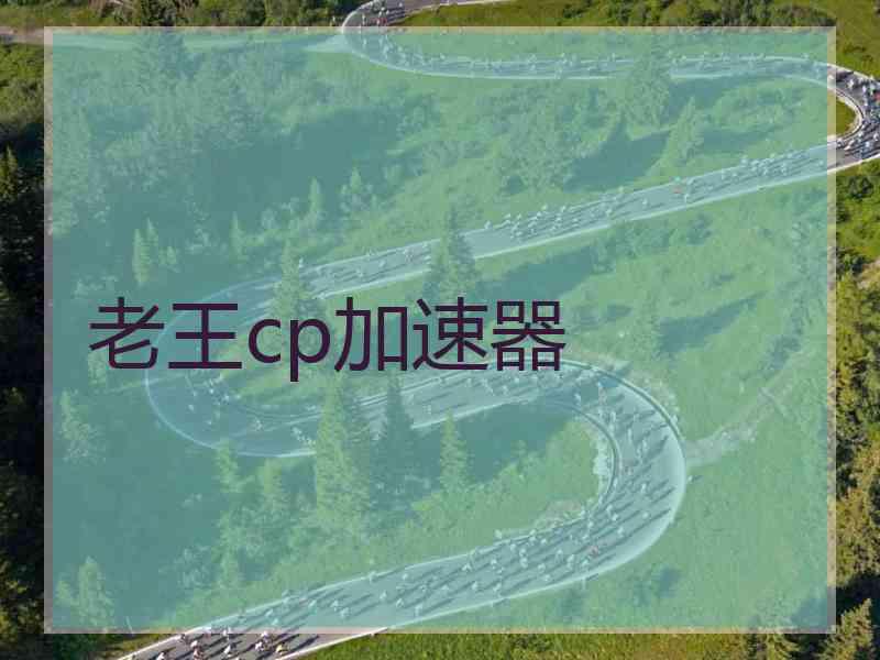 老王cp加速器