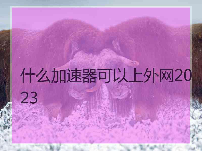 什么加速器可以上外网2023