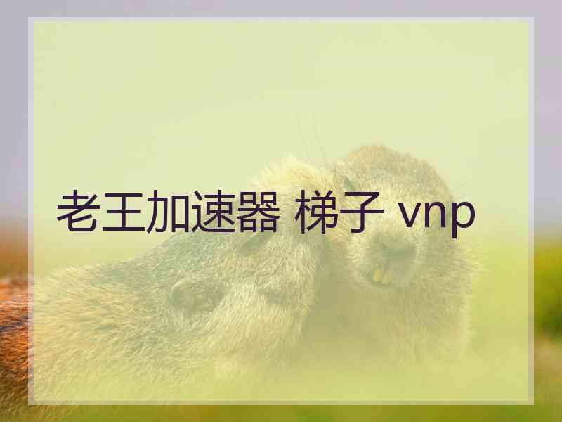 老王加速器 梯子 vnp