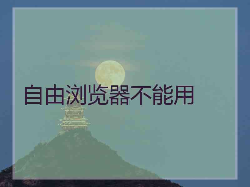 自由浏览器不能用