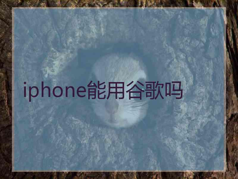 iphone能用谷歌吗