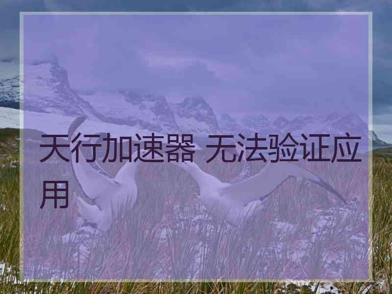 天行加速器 无法验证应用