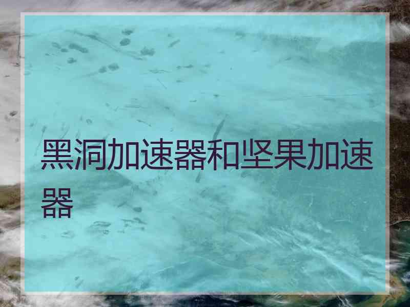 黑洞加速器和坚果加速器