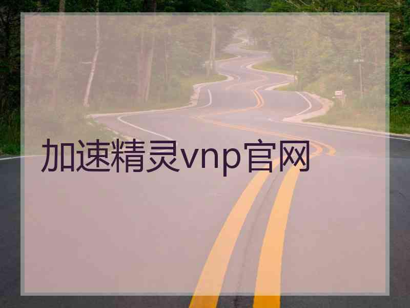 加速精灵vnp官网