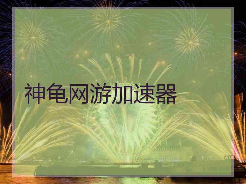 神龟网游加速器