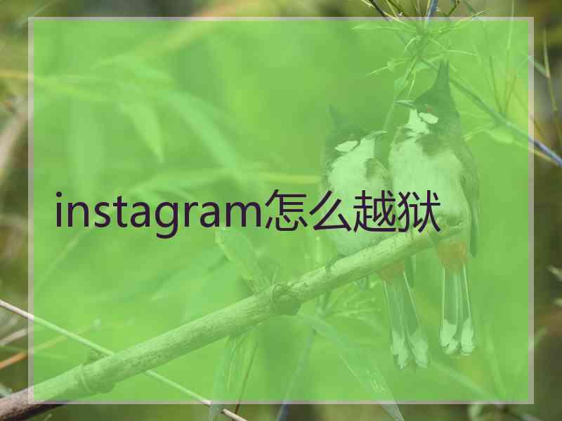instagram怎么越狱