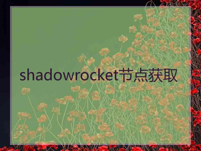 shadowrocket节点获取