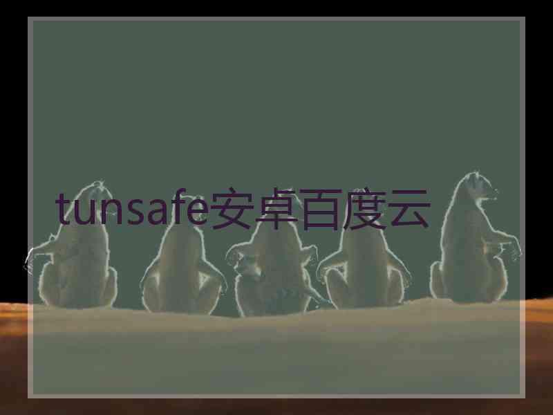 tunsafe安卓百度云