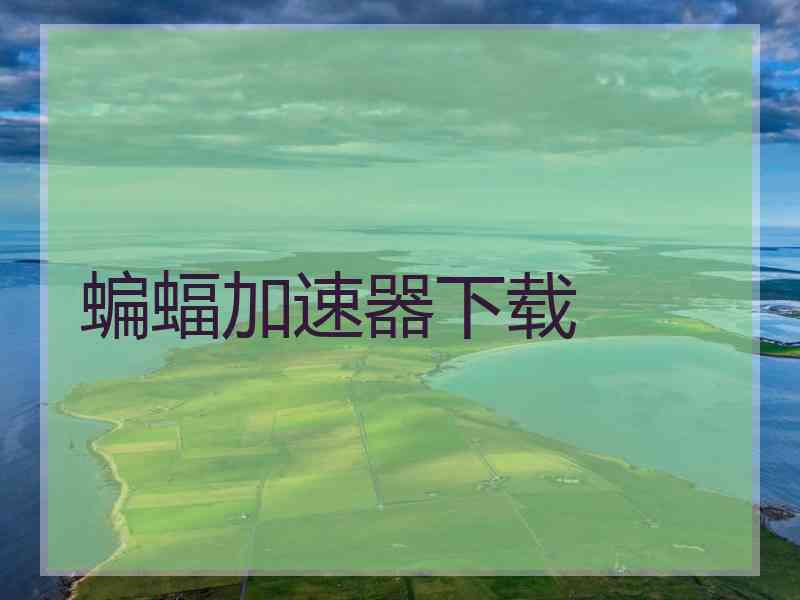 蝙蝠加速器下载