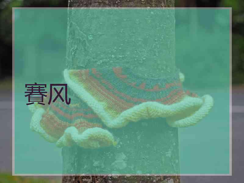 賽风
