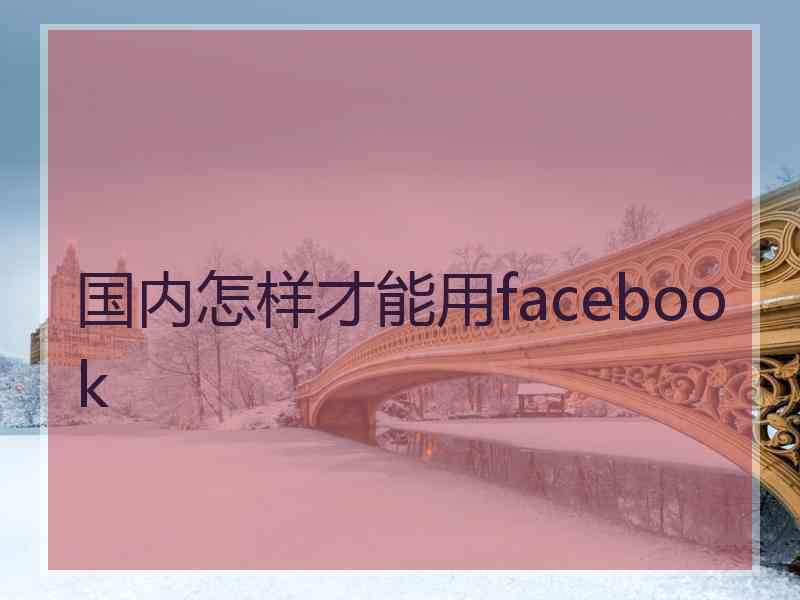 国内怎样才能用facebook