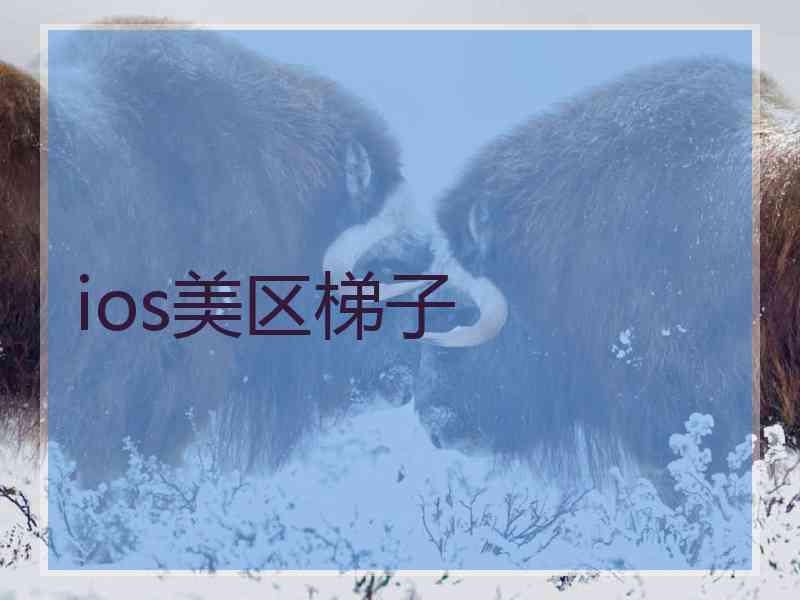 ios美区梯子