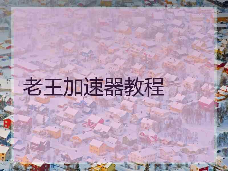 老王加速器教程