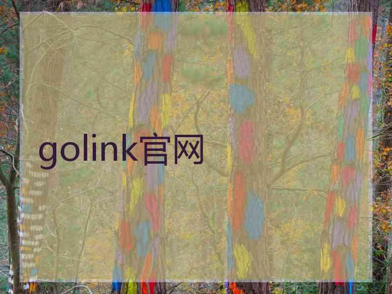 golink官网