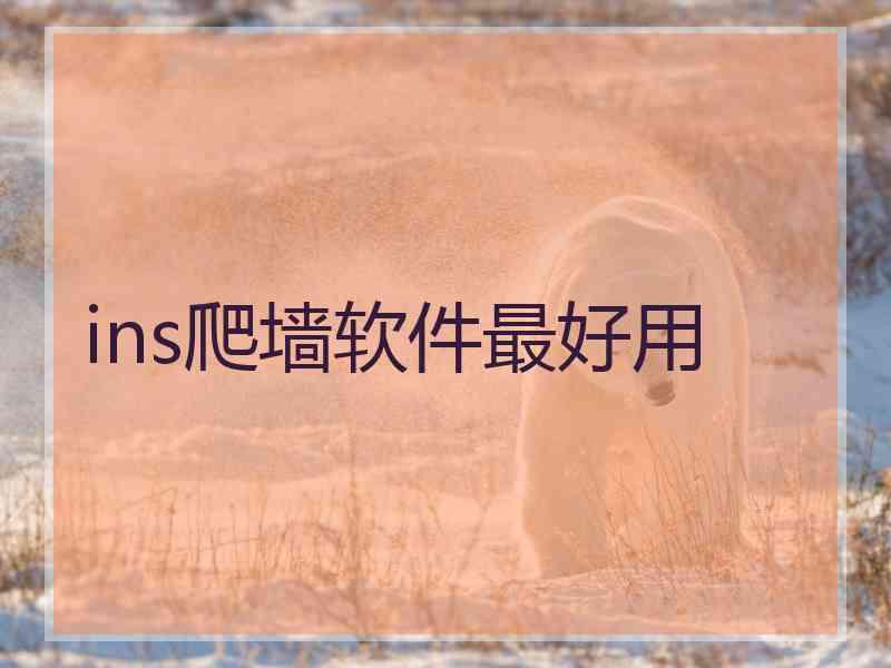 ins爬墙软件最好用
