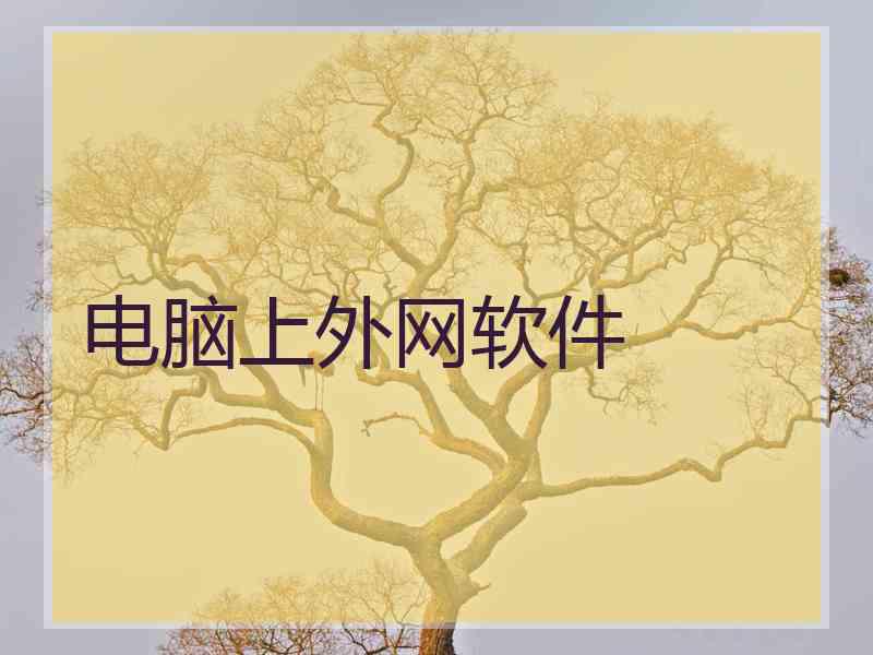 电脑上外网软件