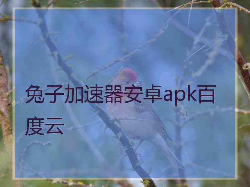 兔子加速器安卓apk百度云