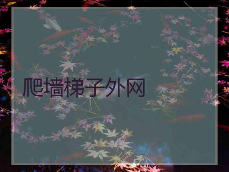 爬墙梯子外网
