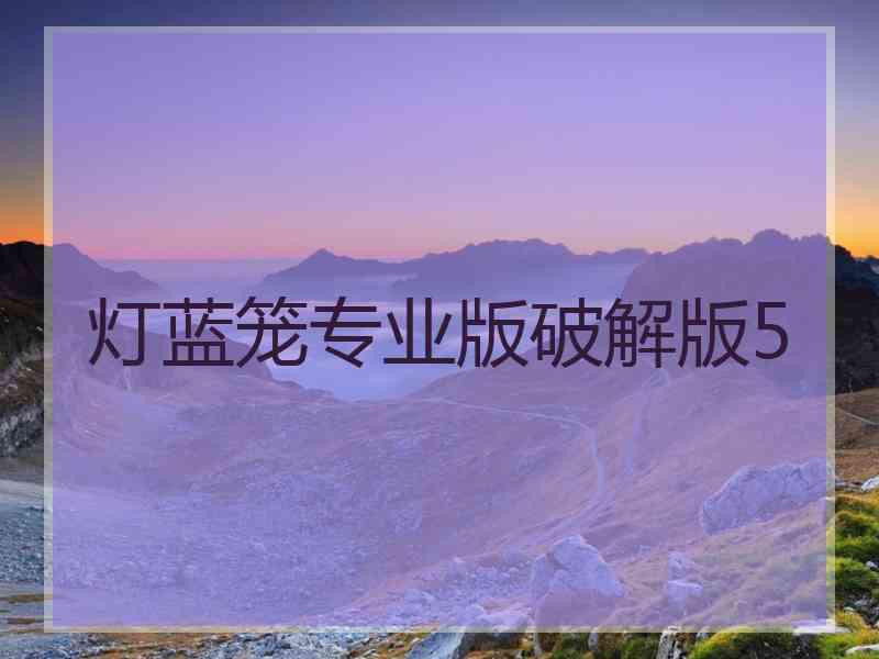 灯蓝笼专业版破解版5