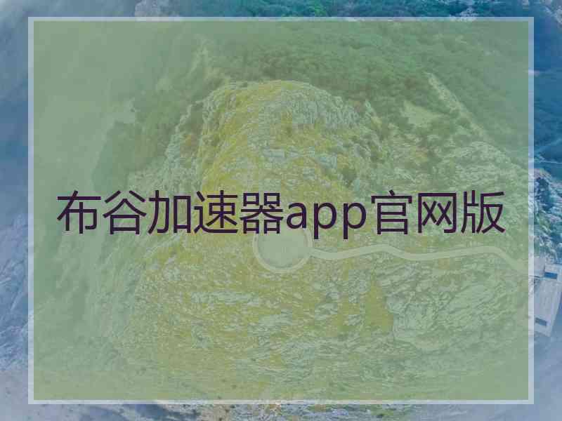 布谷加速器app官网版