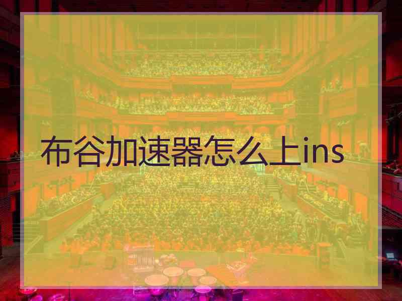 布谷加速器怎么上ins