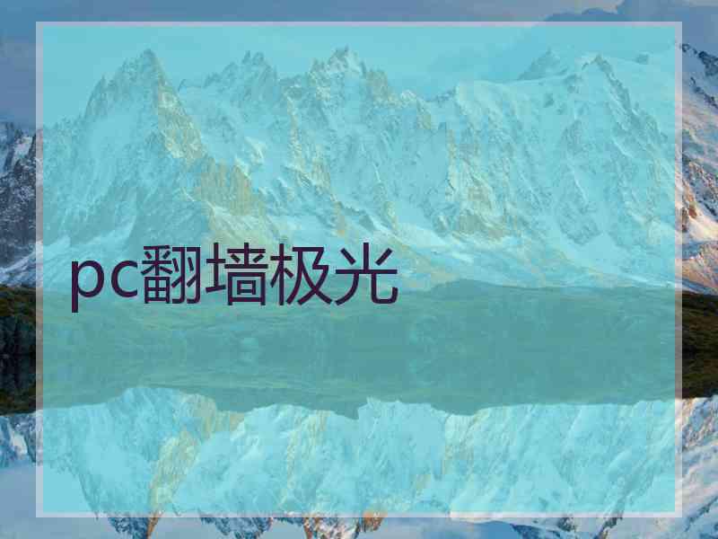pc翻墙极光