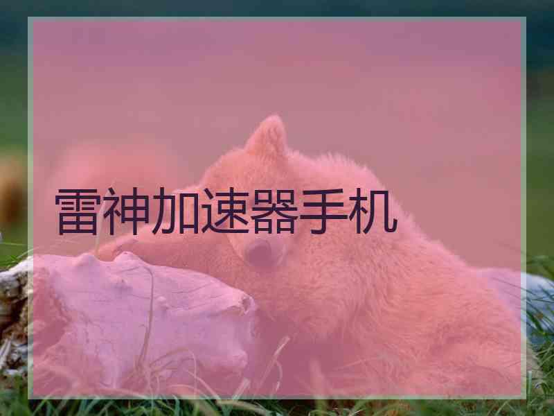 雷神加速器手机