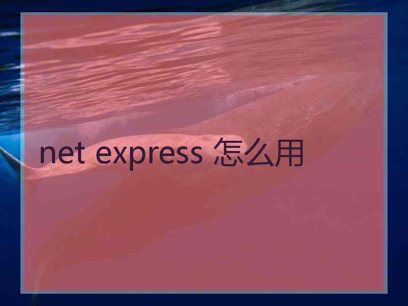 net express 怎么用