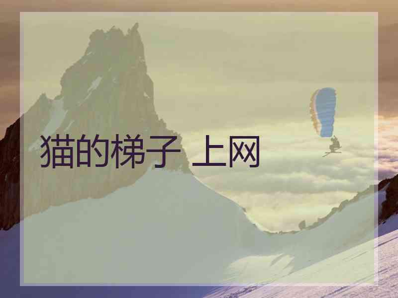 猫的梯子 上网
