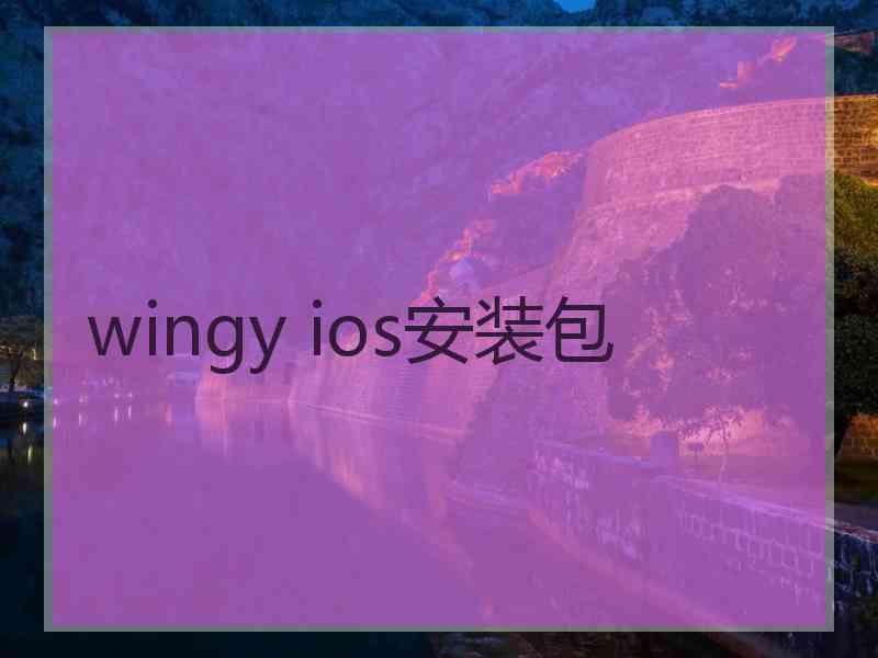 wingy ios安装包