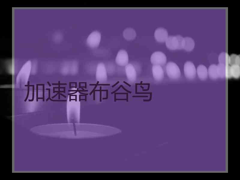 加速器布谷鸟