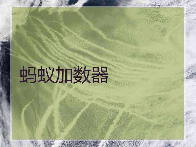 蚂蚁加数器