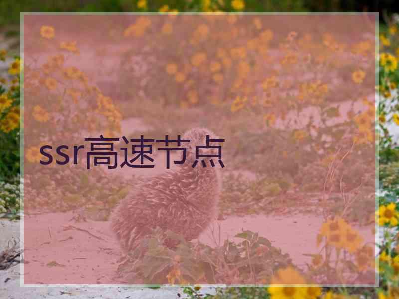 ssr高速节点