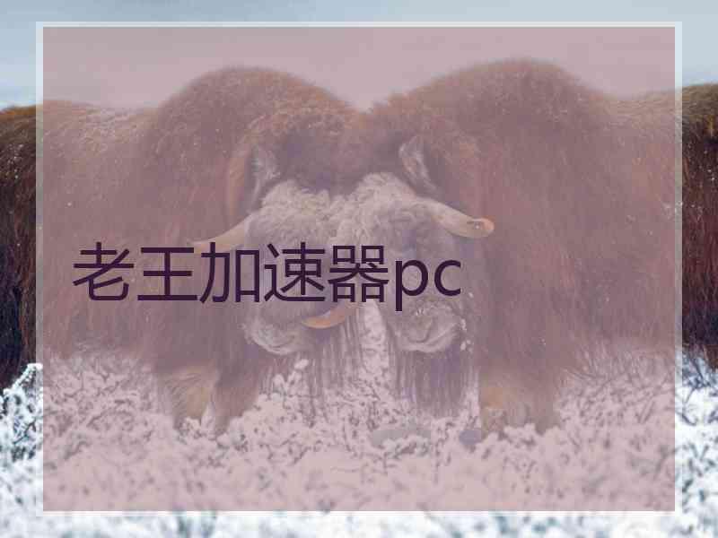 老王加速器pc