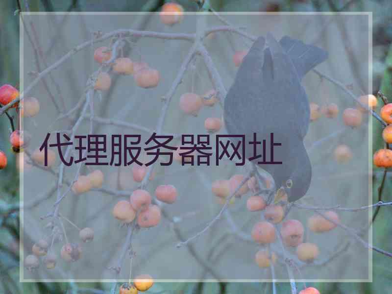 代理服务器网址