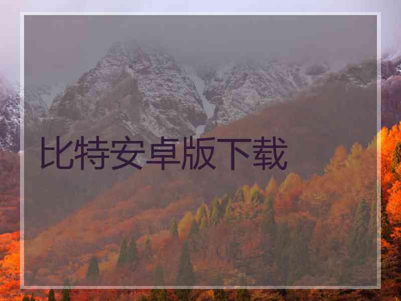 比特安卓版下载
