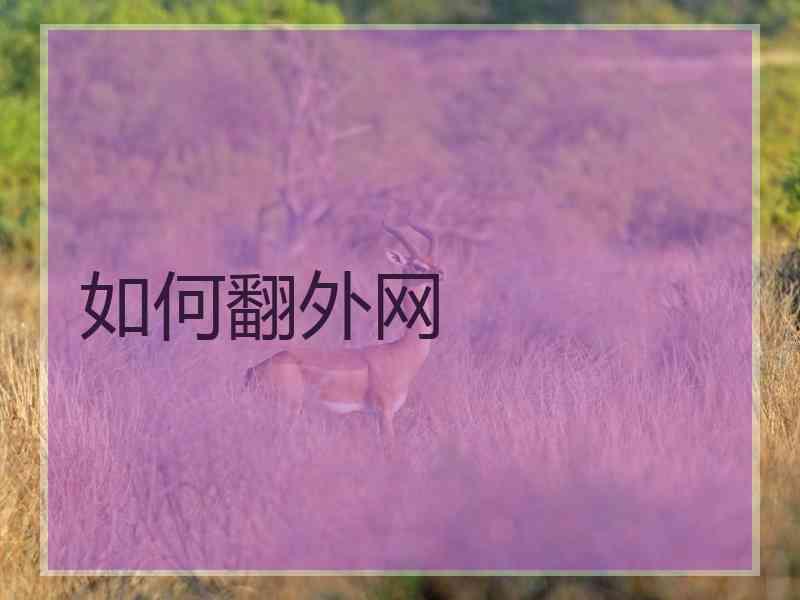 如何翻外网
