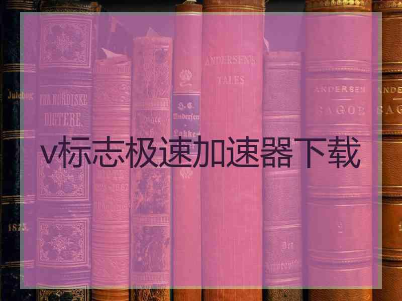 v标志极速加速器下载